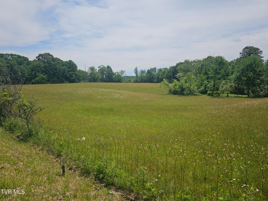 Photo #9: Tbd Hurricane Road