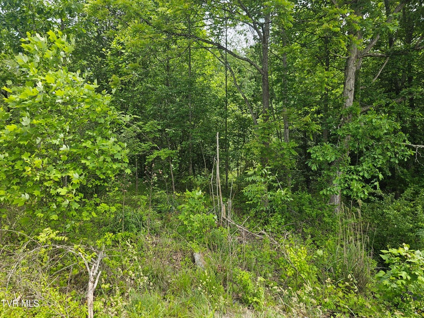 Photo #11: Tbd Hurricane Road