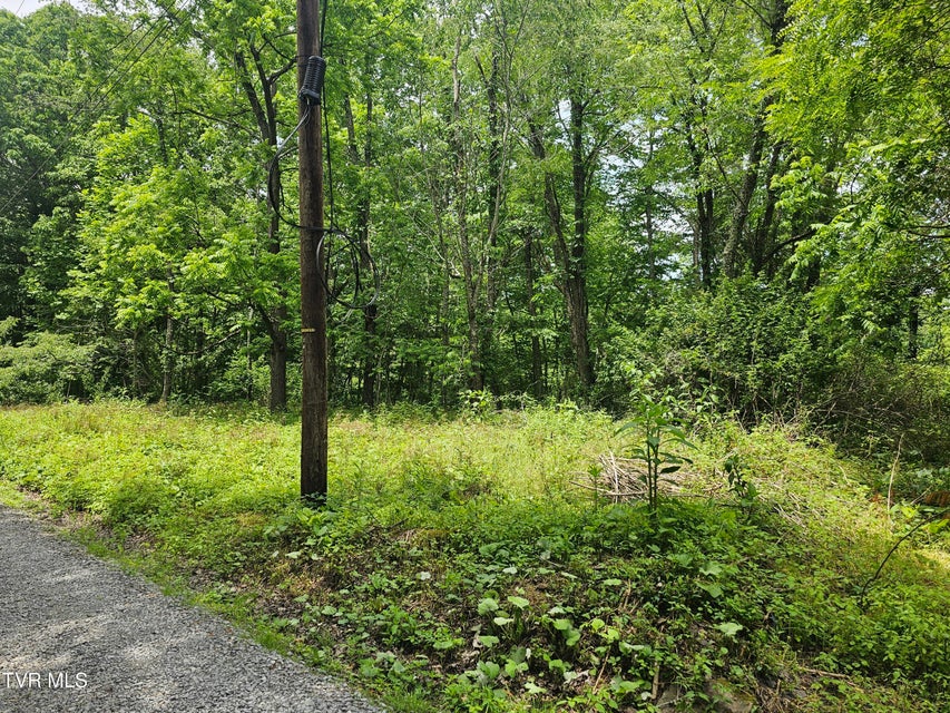 Photo #12: Tbd Hurricane Road