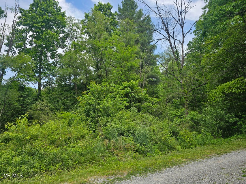 Photo #13: Tbd Hurricane Road
