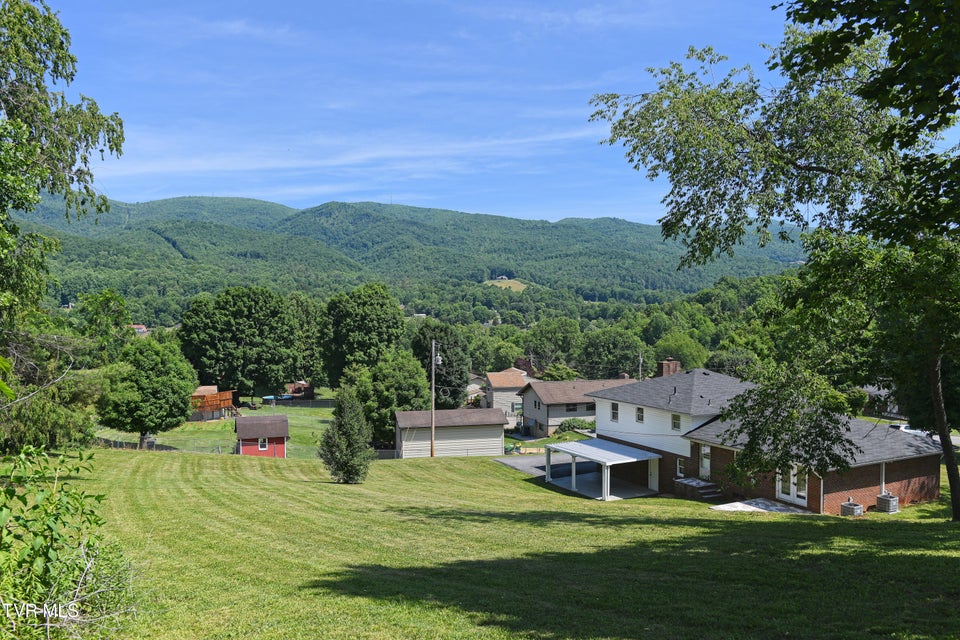 Photo #45: 148 Unaka Subdivision Road