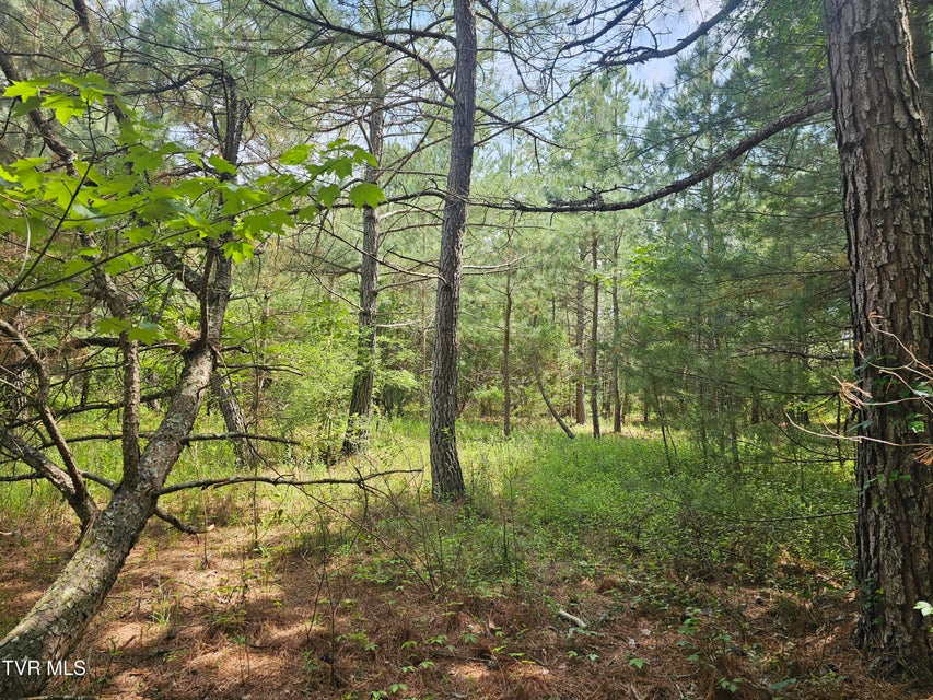 Photo #6: Tbd Old Hurricane Road