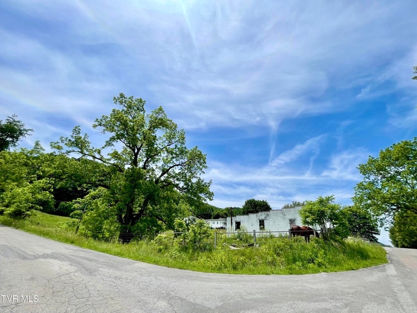 Photo #46: 257 Williams Street