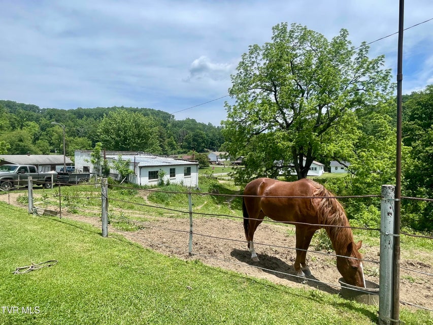 Photo #53: 257 Williams Street