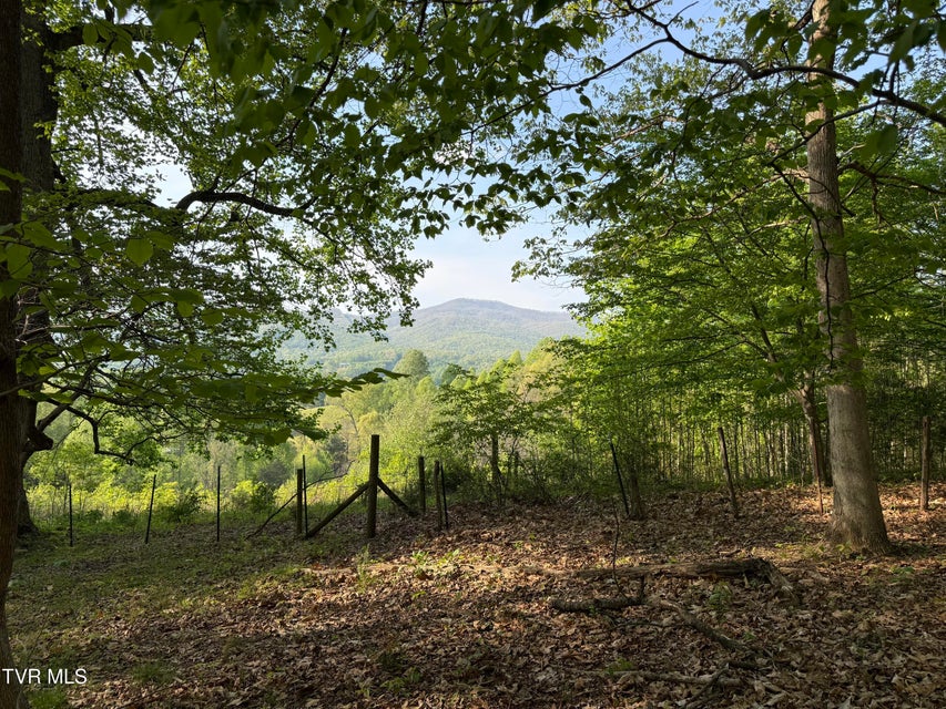 Photo #2: Tbd Bobs Hollow Road