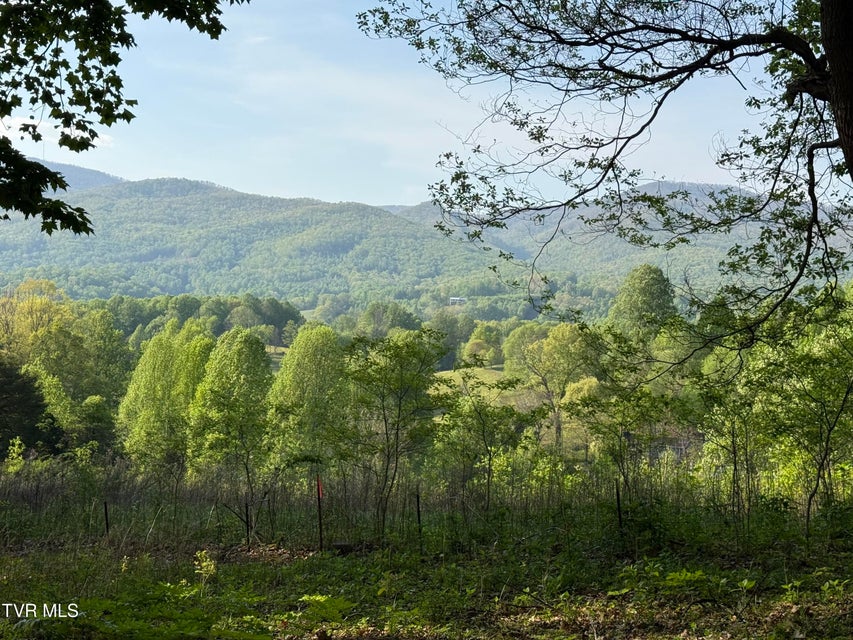 Photo #3: Tbd Bobs Hollow Road