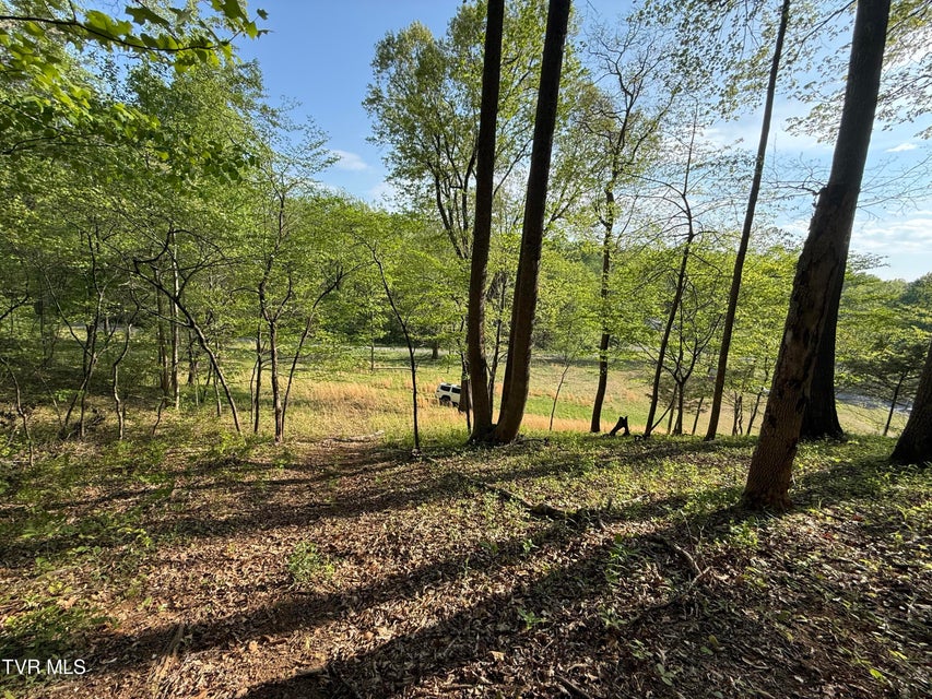 Photo #13: Tbd Bobs Hollow Road