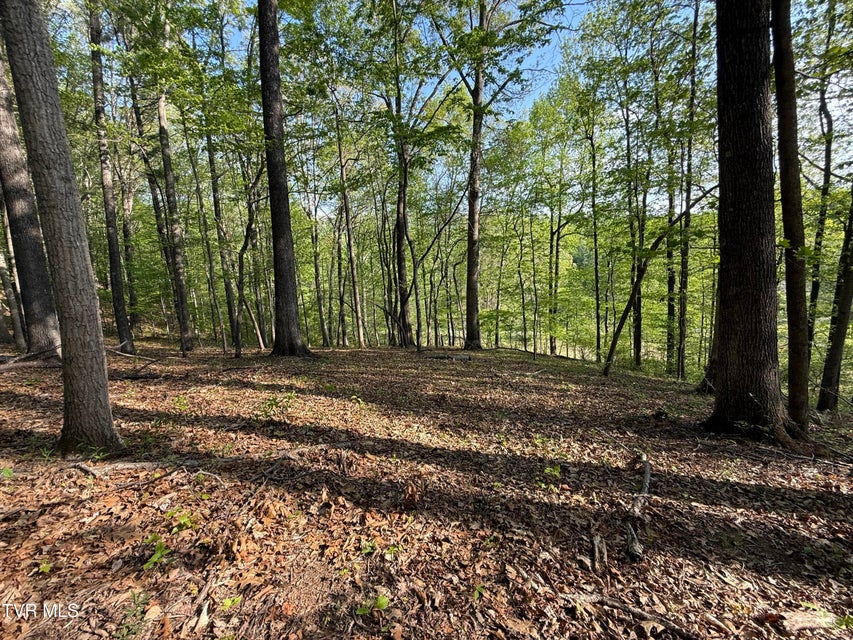 Photo #17: Tbd Bobs Hollow Road