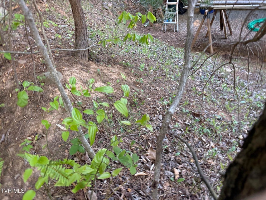 Photo #29: Tbd Bobs Hollow Road