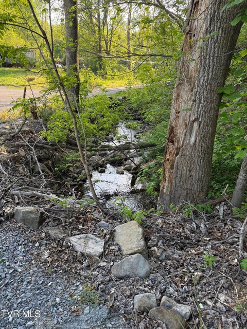 Photo #31: Tbd Bobs Hollow Road