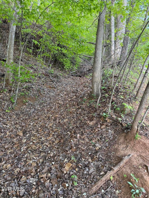 Photo #30: Tbd Bobs Hollow Road