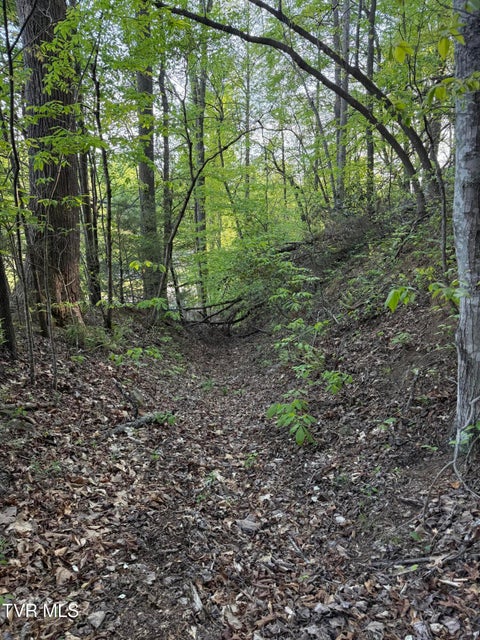 Photo #28: Tbd Bobs Hollow Road