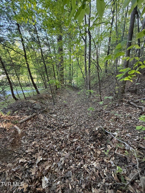 Photo #27: Tbd Bobs Hollow Road