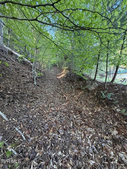 Photo #25: Tbd Bobs Hollow Road