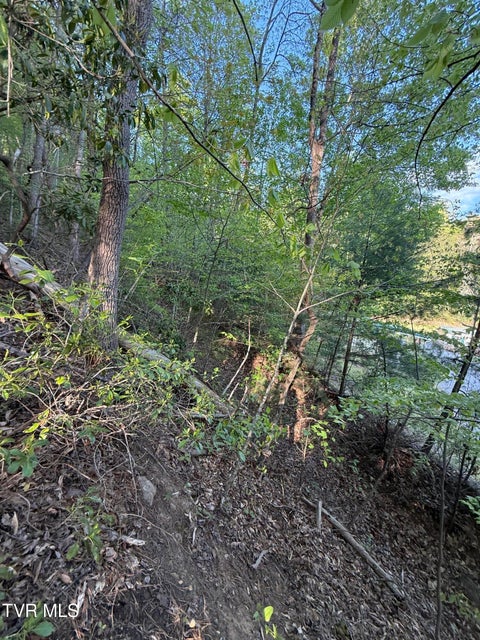 Photo #23: Tbd Bobs Hollow Road
