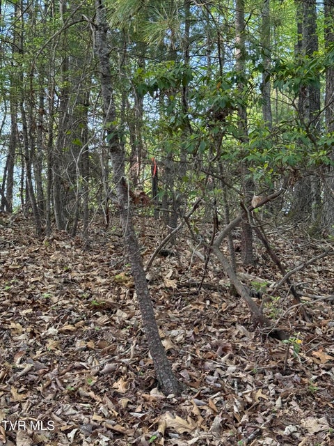Photo #22: Tbd Bobs Hollow Road