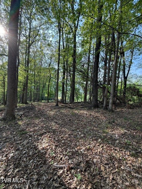 Photo #19: Tbd Bobs Hollow Road