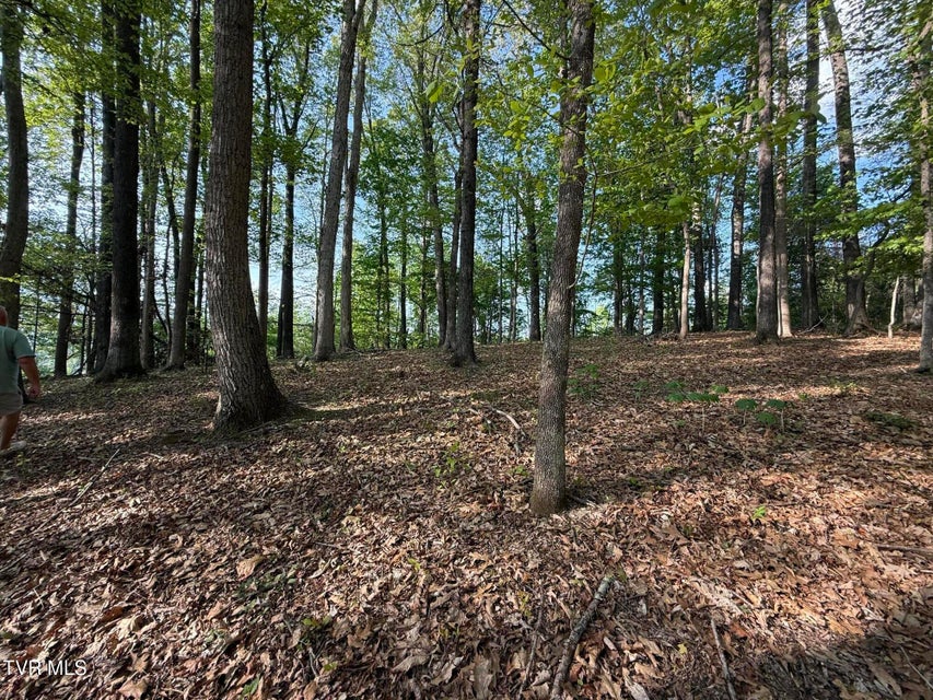 Photo #18: Tbd Bobs Hollow Road