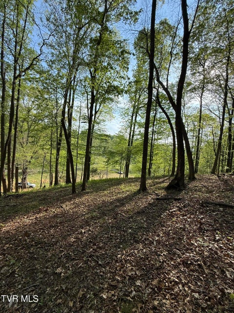 Photo #15: Tbd Bobs Hollow Road