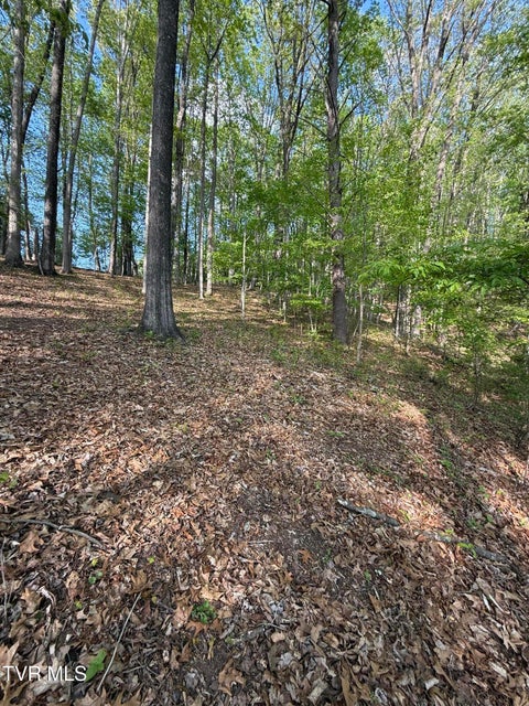 Photo #14: Tbd Bobs Hollow Road