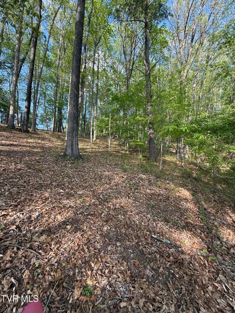 Photo #12: Tbd Bobs Hollow Road