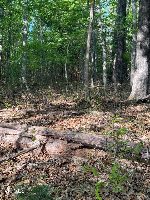 Photo #10: Tbd Bobs Hollow Road