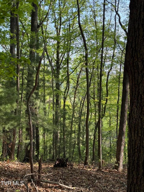 Photo #9: Tbd Bobs Hollow Road