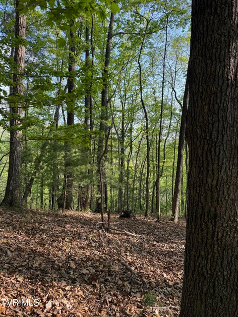 Photo #8: Tbd Bobs Hollow Road