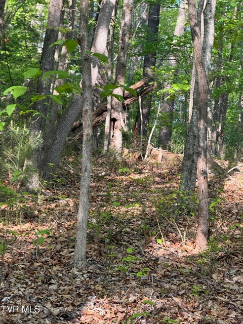 Photo #7: Tbd Bobs Hollow Road