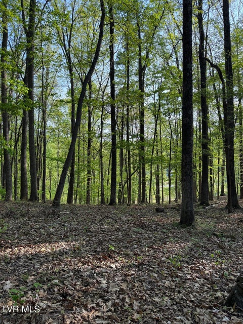 Photo #6: Tbd Bobs Hollow Road
