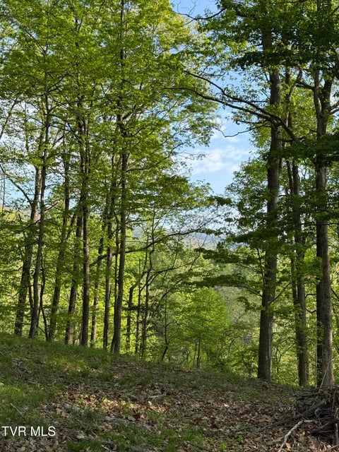 Photo #5: Tbd Bobs Hollow Road