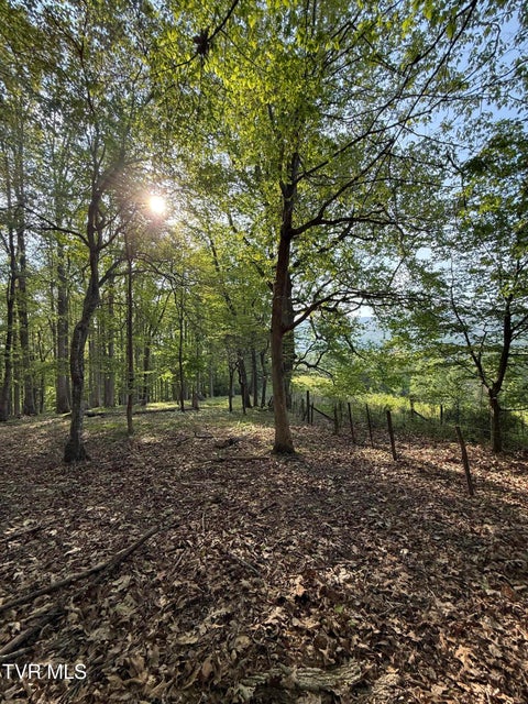 Photo #4: Tbd Bobs Hollow Road