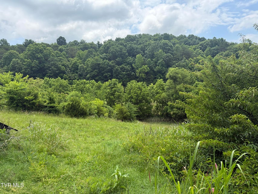 Photo #7: 2233 Sinking Creek Road