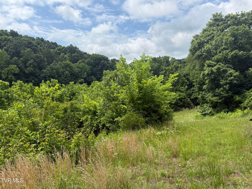 Photo #8: 2233 Sinking Creek Road