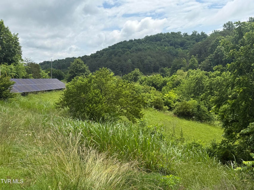Photo #10: 2233 Sinking Creek Road