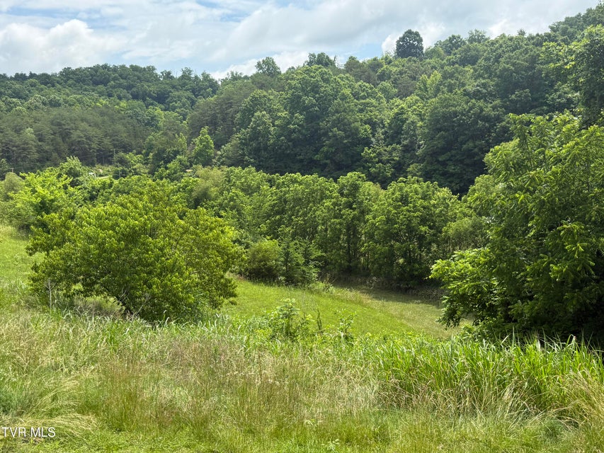 Photo #17: 2233 Sinking Creek Road