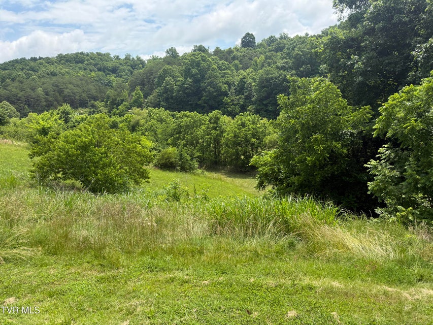 Photo #3: 2233 Sinking Creek Road