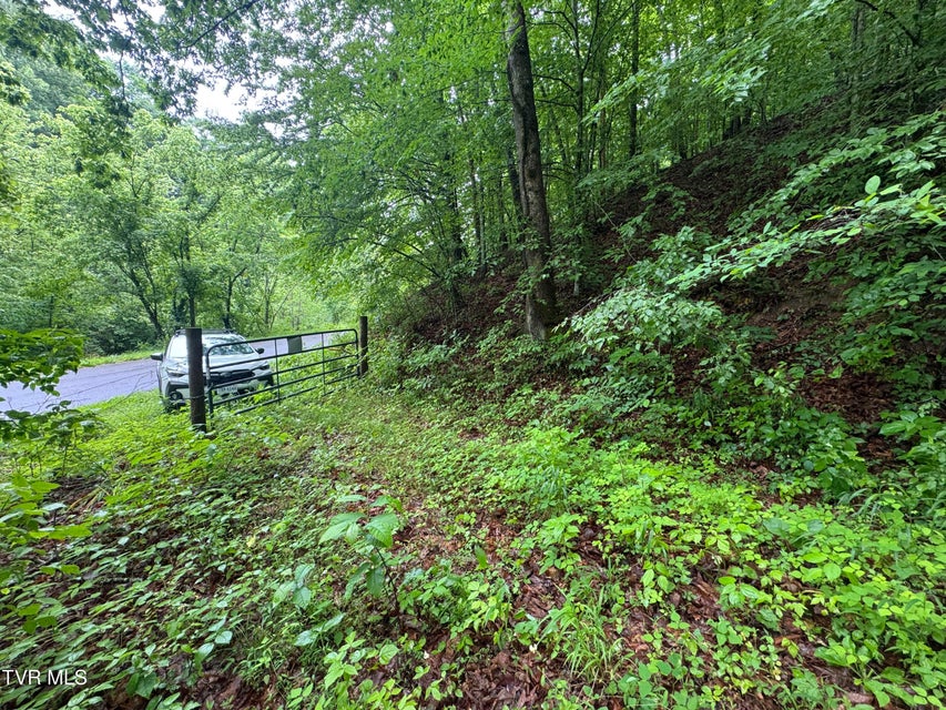 Photo #6: Tbd Boozy Creek Road
