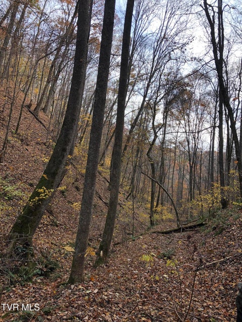 Photo #19: Tbd Boozy Creek Road