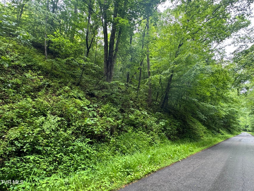 Photo #33: Tbd Boozy Creek Road