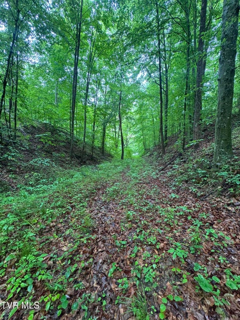Photo #11: Tbd Boozy Creek Road