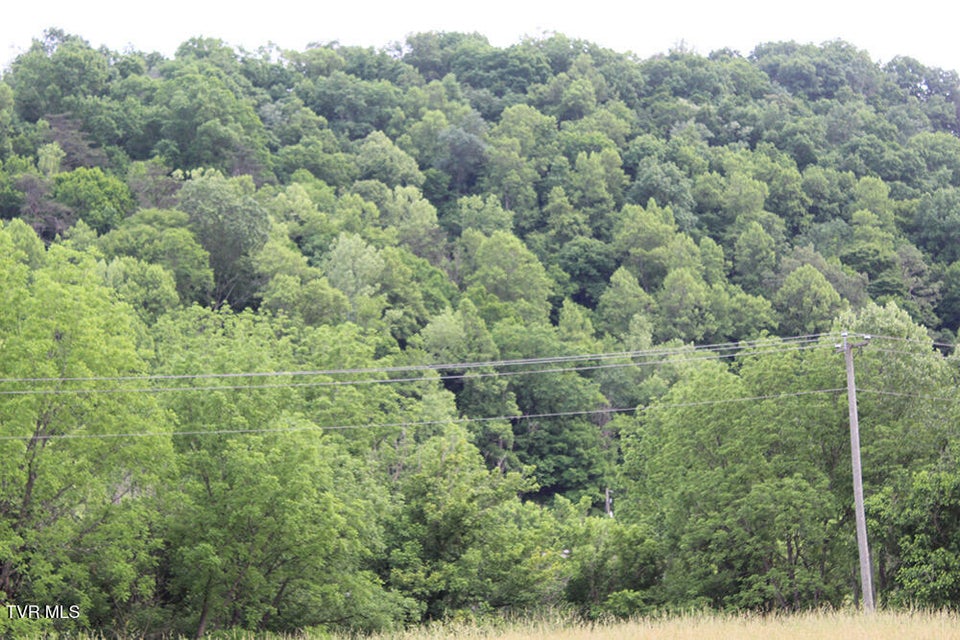 Photo #7: 00 Key Hole Road Road