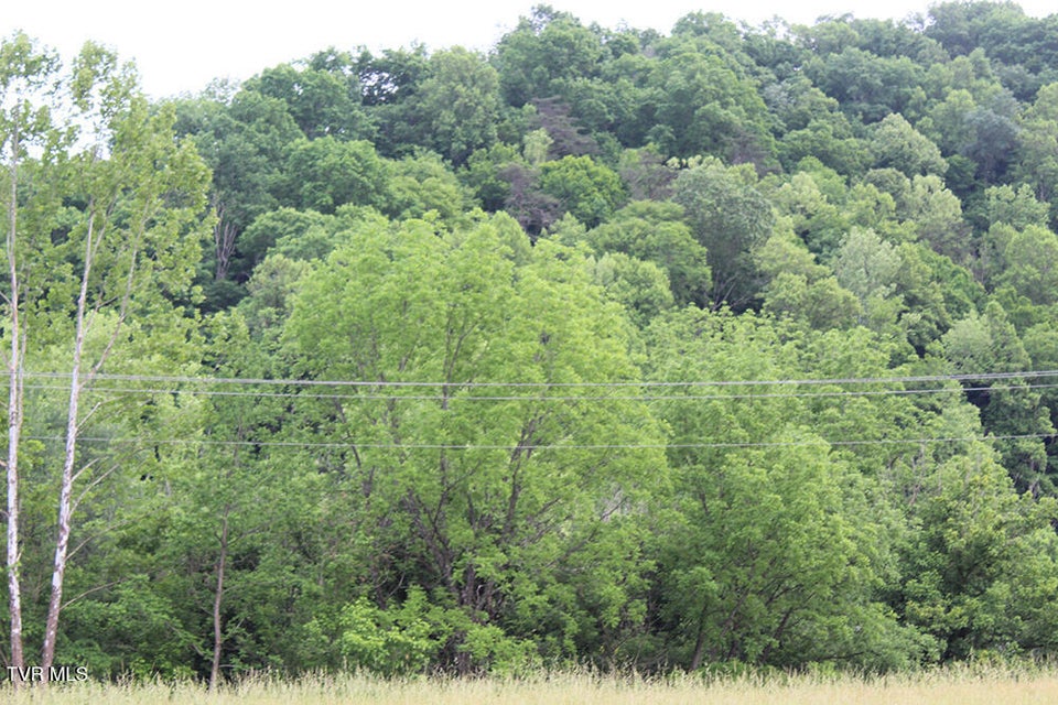 Photo #8: 00 Key Hole Road Road