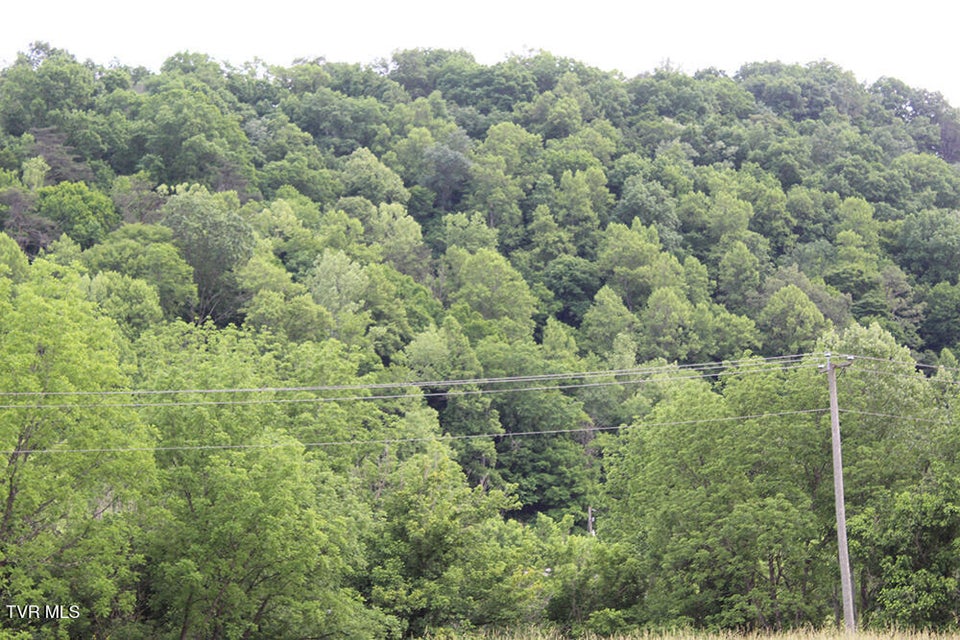 Photo #9: 00 Key Hole Road Road