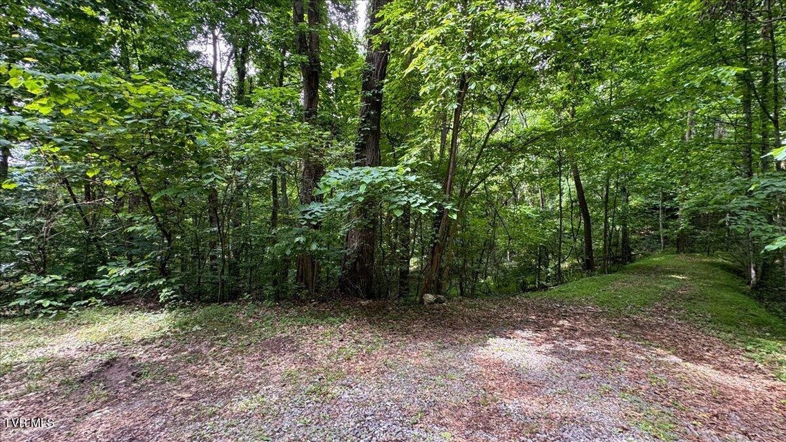 Photo #41: 180 Misty Woods Drive