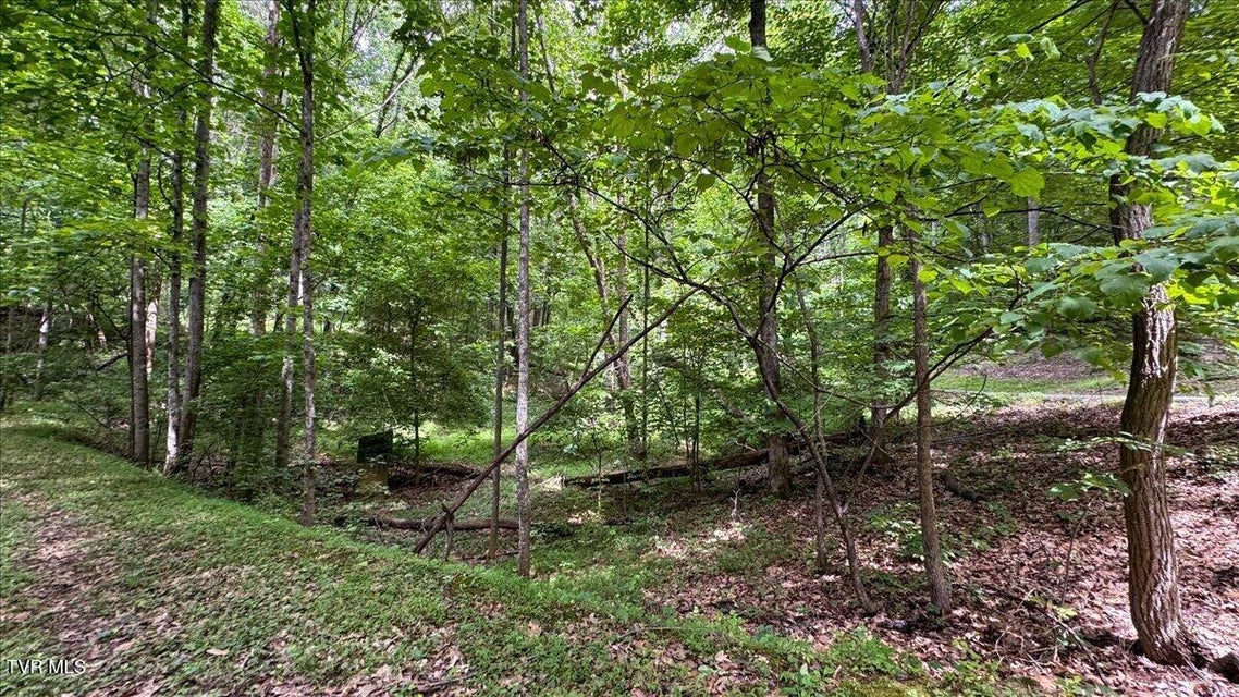 Photo #44: 180 Misty Woods Drive