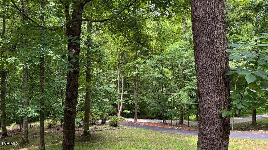 Photo #56: 180 Misty Woods Drive