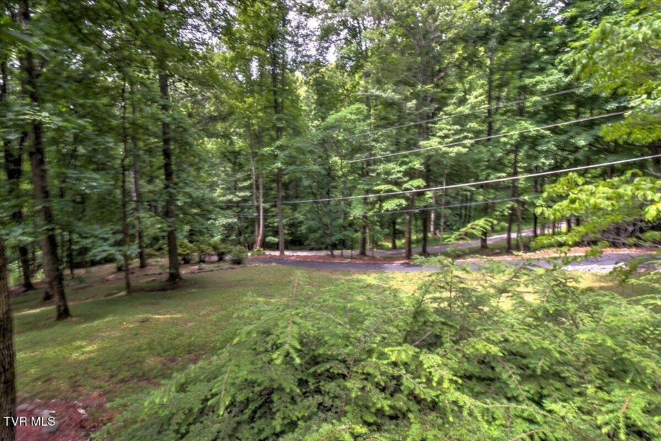 Photo #63: 180 Misty Woods Drive