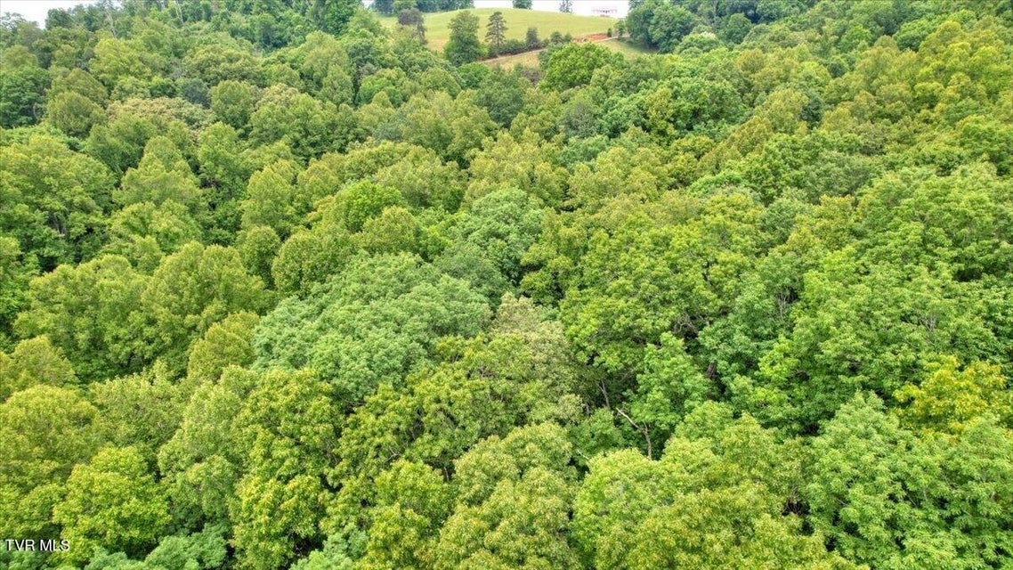 Photo #86: 180 Misty Woods Drive