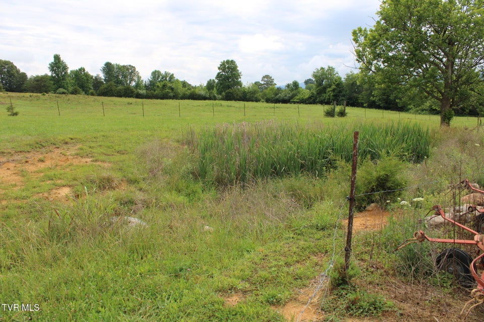 Photo #24: 191 Ash Meadow Drive
